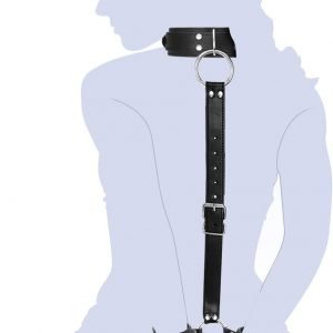 SEXY SLAVE – Neck to Wrist Restraints kit